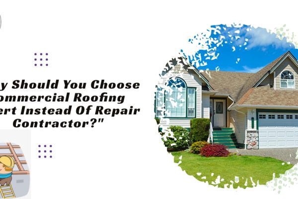 Commercial Roofing Expert