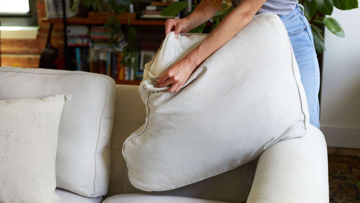 Upgrade Your Comfort with High-Quality Cushion Pads